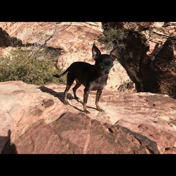 Meet your Posher, Tiffany - Picture 4 of 4